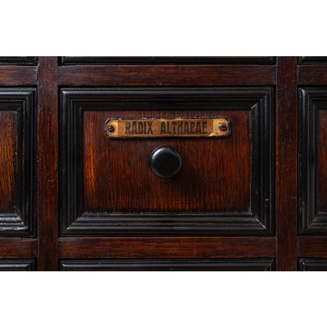 Black 20th Century Apothecary Chest of Drawers in Oak Wood, 1920s For Sale - Image 8 of 11