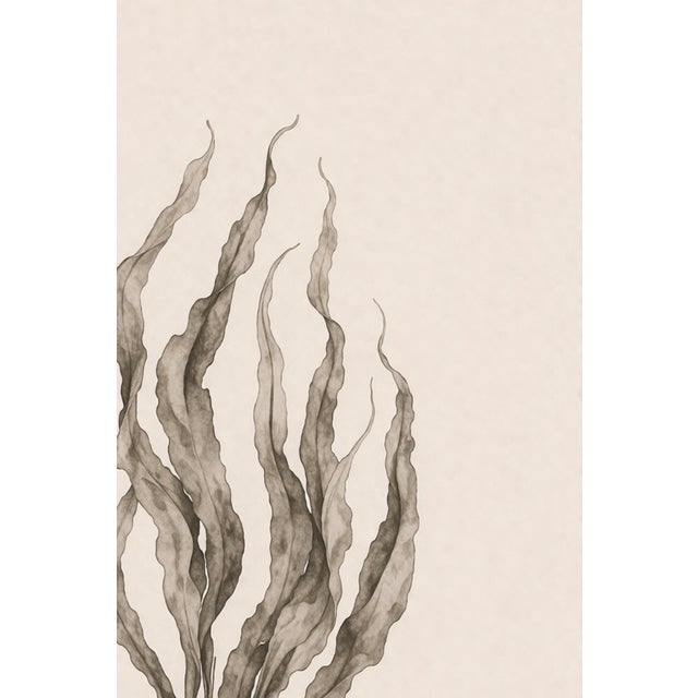 Paint Coastal Seaweed Study Vi, Minimalist Botanical Art Print, 24" × 36" Reproduction For Sale - Image 7 of 10