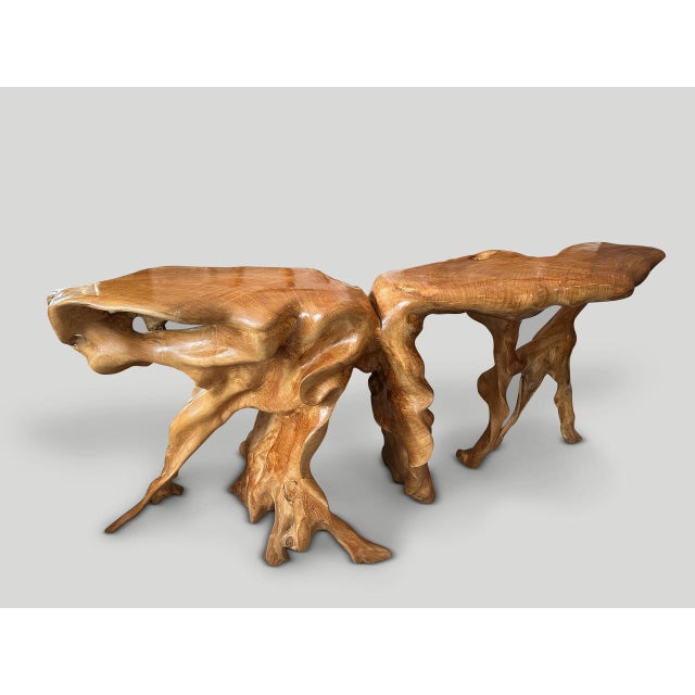 Andrianna Shamaris Monumental Sculptural Teak Root Console Table For Sale - Image 17 of 18