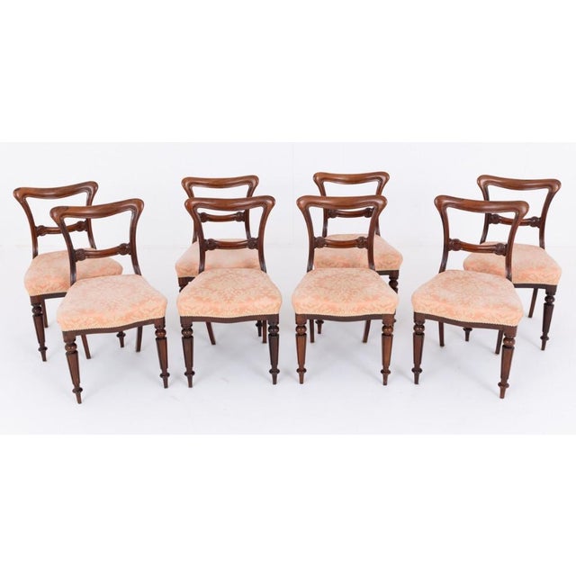 19th Century William IV Dining Chairs, Set of 8 For Sale - Image 7 of 7