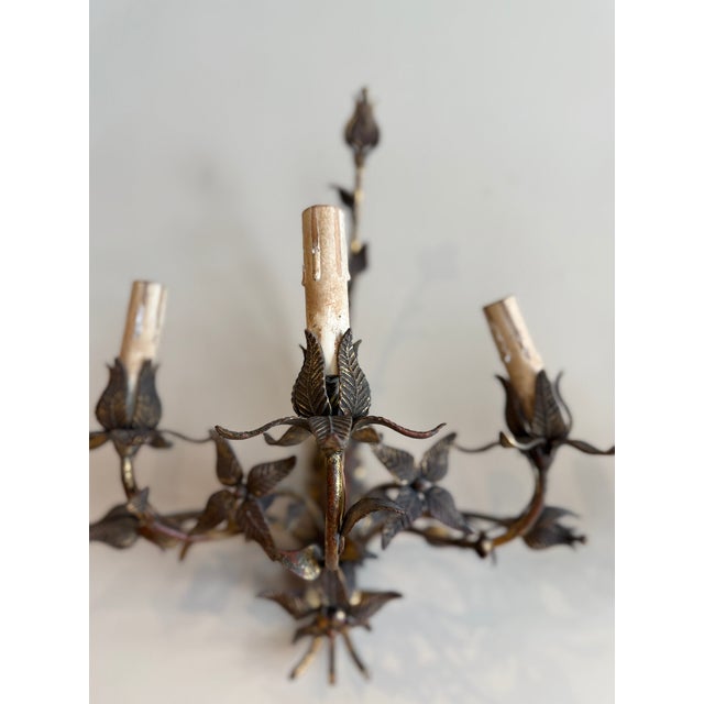 1900 - 1909 1900s Antique Iron Floral Sconces - Set of 4 For Sale - Image 5 of 7