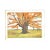 Vintage Landscape Painting on Wood and White Frame For Sale