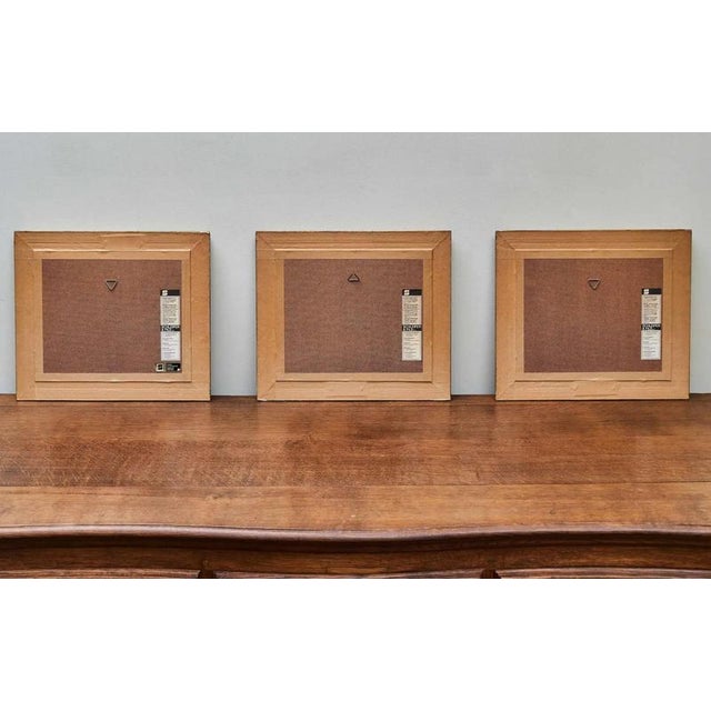 This exclusive series of three finely executed engravings depicts scenes from the 19th century, reflecting the exotic...