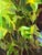 Contemporary Life Springs Forth by Judd Mercer | Oil on Wood Panel Stream flowing through rocks and greenery. For Sale - Image 3 of 5