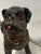English Pug Dog Sculpture In Painted Terracotta, Early 20th Century This engaging figural sculpture depicts a stout, alert...