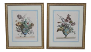 Matted & Gold Framed Botanical Prints - a Pair