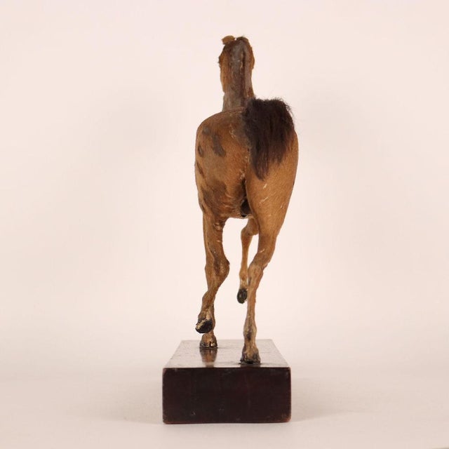 Horse Sculpture by Henry Fratin For Sale - Image 4 of 9