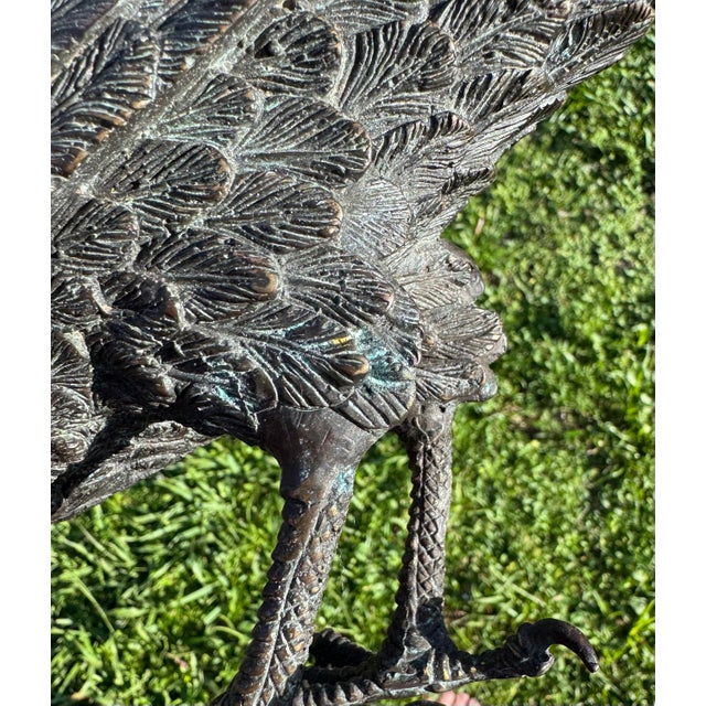 Mid 20th Century Highly Detailed Antique Bronze Bird of Prey Sculpture Osprey Hawk Falcon Falconry For Sale - Image 9 of 11