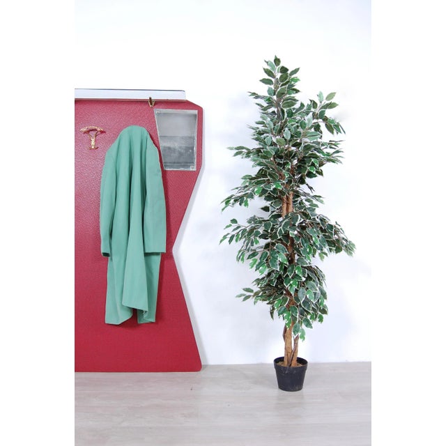 Entrance coat rack, design and production of the 50s, interesting shapes with recesses and rounded corners. Frame in...