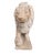Unknown. Lion in Pink Portuguese Marble, 1890s, Marble, in Flawless conditions. Designed 1890 to 1919
