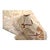 Persian Sultanabad Wool 4x18 Light Khaki & Ivory Handmade Gallery Rug #1143260 For Sale In Houston - Image 6 of 7