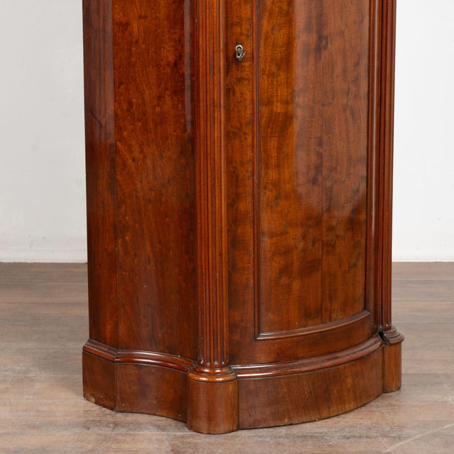 19th Century Danish Mahogany Narrow Column Cabinet For Sale - Image 10 of 11