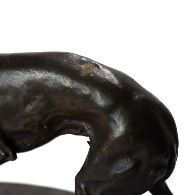 Pierre-Jules Mène Bronze Sculpture of a Whippet on a Slate Base C1890 For Sale - Image 4 of 7