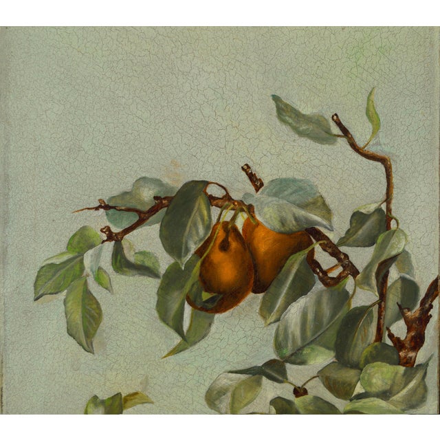 1890s Pears Aplenty in Victorian Days For Sale - Image 4 of 4