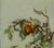 1890s Pears Aplenty in Victorian Days For Sale - Image 4 of 4