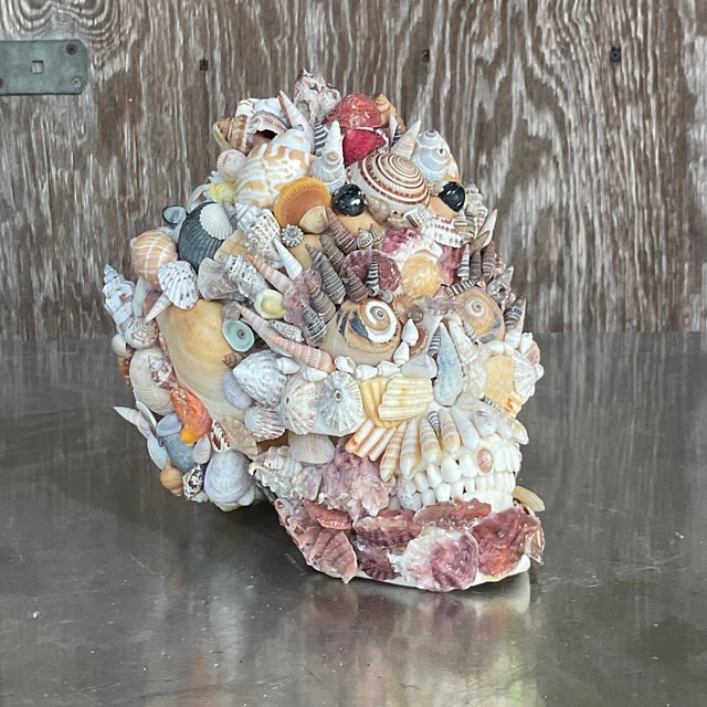 Vintage Coastal Shell Encrusted Skull For Sale - Image 4 of 8