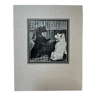 1940s Vintage Scottie Dog Print For Sale