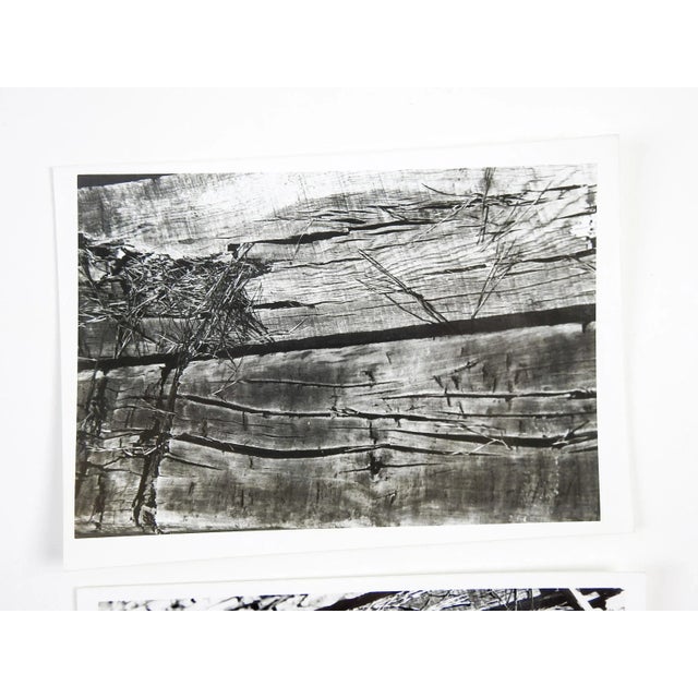 Circa 1980's photographs of unique perspective of old railroad ties. Unsigned. Unframed. Each photo is 7"L x 5"H.