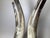 Natural Steer Horns on Lucite Bases - A Pair For Sale In Philadelphia - Image 6 of 8