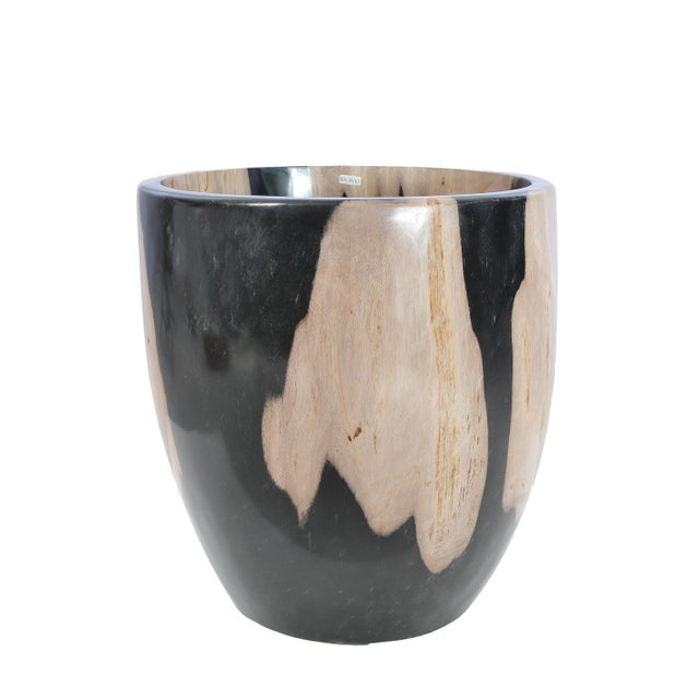 Contemporary Petrified Wood Plant Pot by Xyleia Petrified Wood For Sale - Image 3 of 7