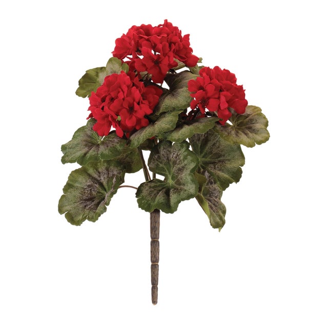 Bring vibrant color and timeless floral charm to your decor with this Red Geranium Bush Set. Featuring lush clusters of...