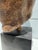 1990s 1991 Classical Male Torso Sculpture by Sergey Eylanbekov for Alva Studios For Sale - Image 5 of 8