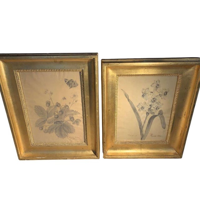 A delightful pair of Swedish flower sketches in pencil by fifteen year old Margaret Trone dated 1819. In classic gilt wood...