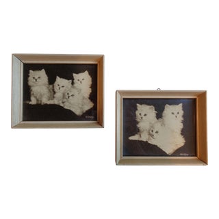 Framed Kitten Photographs - a Pair, Artist Bradley Currey For Sale