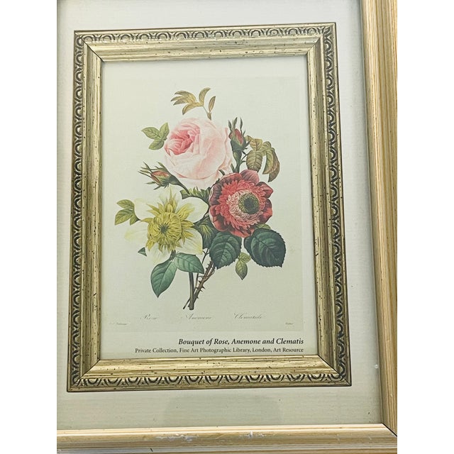 1960s P.J.Redoute Rosa Chromolithograph Framd For Sale - Image 4 of 5