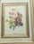 1960s P.J.Redoute Rosa Chromolithograph Framd For Sale - Image 4 of 5