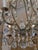 Traditional Dennis & Leen Chantilly Chandelier For Sale - Image 3 of 12