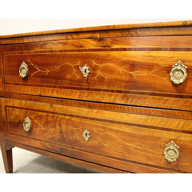 18th Century Italian Louis XVI Walnut Chest of Drawers For Sale - Image 16 of 17