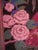 Orange Hand Painted French Japonism Style Wall Paper 66 Feet For Sale - Image 8 of 13