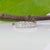 Metal Natural Diamond Band in Solid 14k Gold | Vintage Scroll Design Diamond Ring, Size 6.75 For Sale - Image 7 of 9