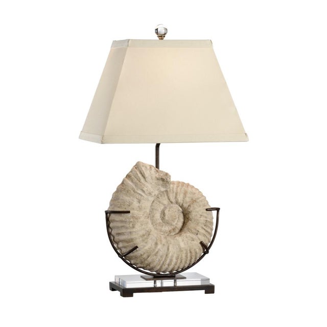 Extinct for over 65 million years, the ammonite was a relative of the squid whose hard coiled shell was divided into...