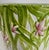 Italian Cachepot by Maison Chaumette Paris For Sale In Houston - Image 6 of 11