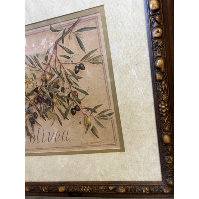 Farmhouse Vintage Framed Olive Branch Watercolor by French Artist Vincent Jeannerot For Sale - Image 3 of 5