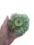 Vintage Trompe Loleil Ceramic Vegetable Decorative Objects - Set of 5 For Sale - Image 16 of 17