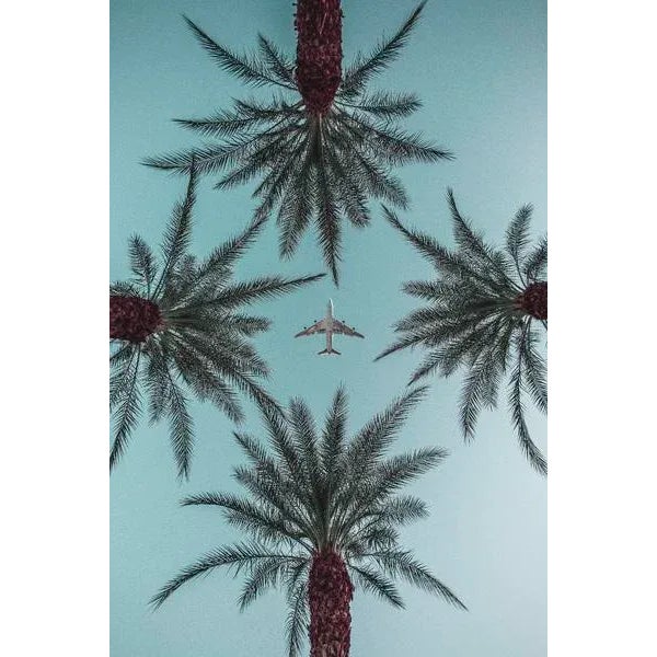 Contemporary "Palm Springs Plane & Palm Trees " Contemporary Photograph by Jason Mageau For Sale - Image 3 of 3