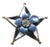 Antique Petite French Enamel Star Pin For Sale
