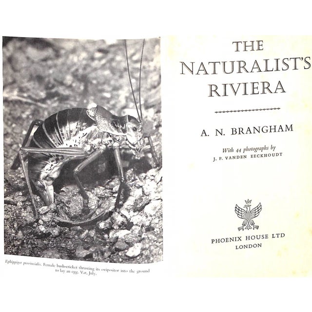 BRANGHAM, A.N. [339] pp. Phoenix House Ltd 1962 8 1/2" x 5 3/4" w/ 12-fold map of Provence & The French Riviera laid-in at...
