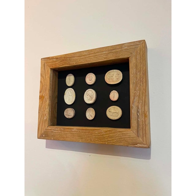 Wax Italian Plaster Intaglios in Reclaimed 1880s Pine Frame For Sale - Image 7 of 10