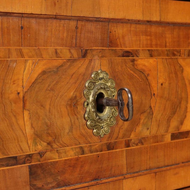 Neo-Classical Walnut and Burlwood Chest of Drawers For Sale - Image 6 of 12