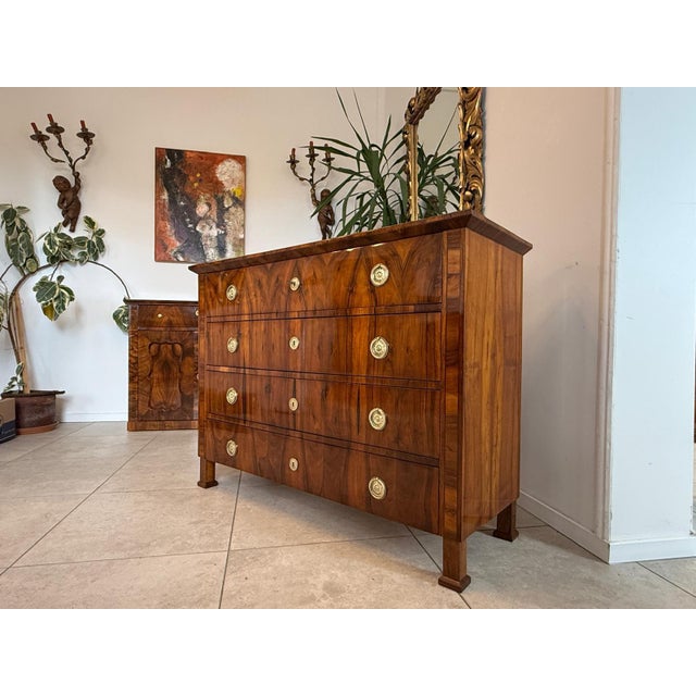 Biedermeier Chest of Drawers in Walnut For Sale - Image 17 of 17