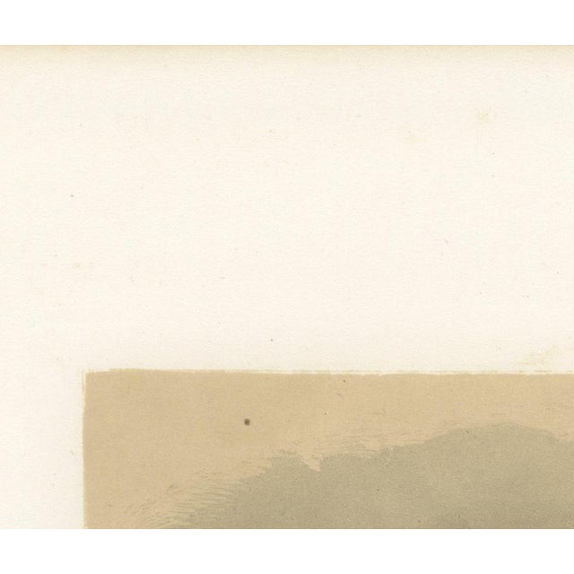 Paper After Rosa Bonheur, Salers Cow and Calf, 1873, Paper For Sale - Image 7 of 12