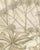 L. Stroobant, Fatsia Japonica, Aralia Japonica Flowering Branch, 1858, Lithograph For Sale - Image 4 of 9