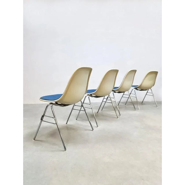 Herman Miller Vintage Fiberglass DSX Chairs by Eames for Herman Miller, 1970s, Set of 4 For Sale - Image 4 of 7