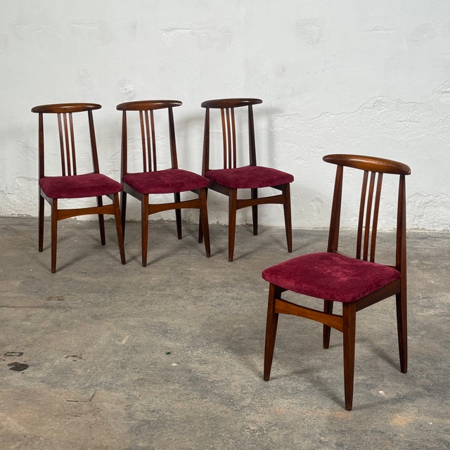 Mid-Century Modern Polish Dining Chairs attributed to M. Zielinski, 1960s, Set of 5 For Sale - Image 3 of 9