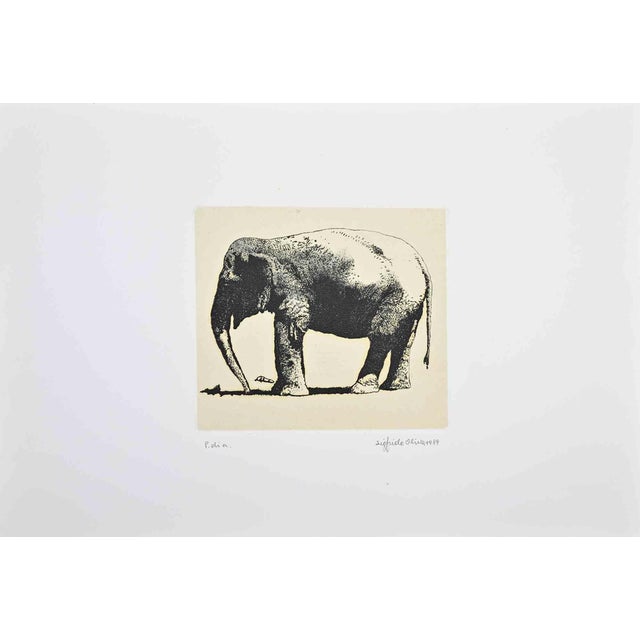 Sigfrido Oliva, Elephant, Etching, 1989 For Sale