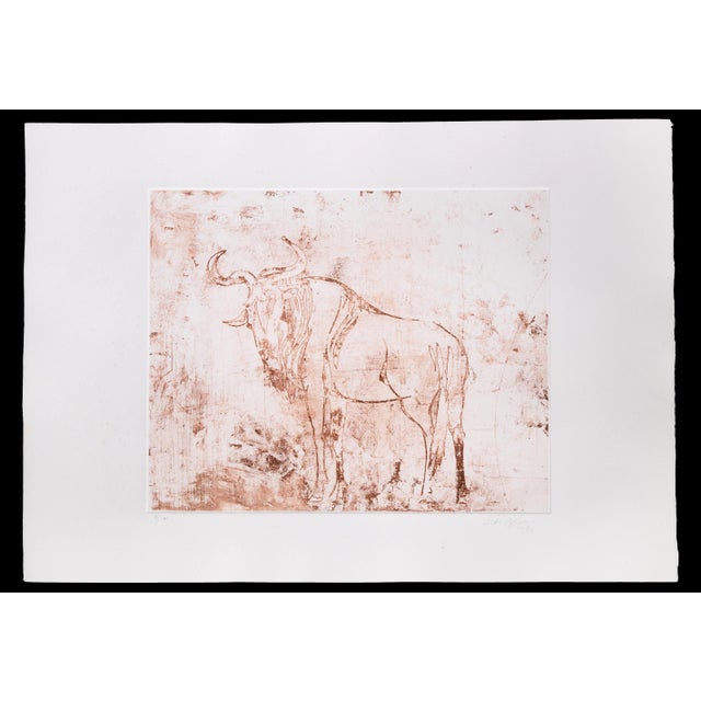 Aldo Pagliacci, Buffalo, Original Etching on Paper, 1971 For Sale